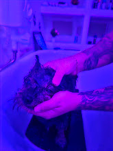 Banhoterapia — banho na Realeza Pets
